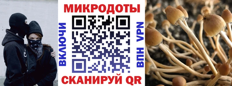 Псилоцибиновые грибы Magic Shrooms  Заволжье 